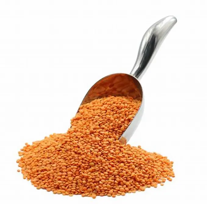 Red Split Lentils - عدس مجروش
