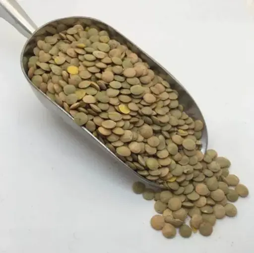Green Lentils - عدس اخضر